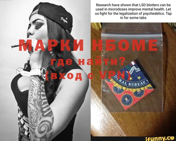 индика Горнозаводск