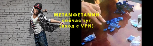 индика Горнозаводск