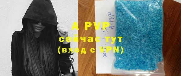 индика Горнозаводск