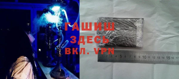 индика Горнозаводск