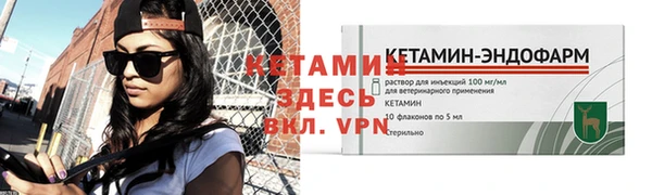 индика Горнозаводск