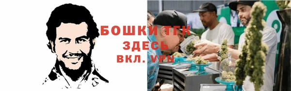индика Горнозаводск