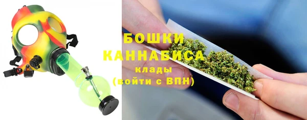 гидра Вязники