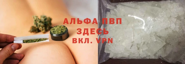 индика Горнозаводск