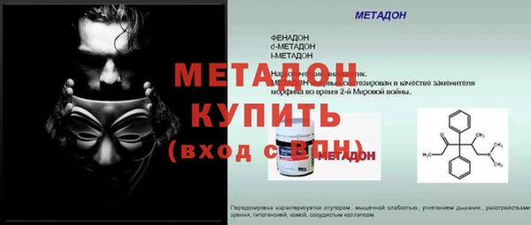 индика Горнозаводск