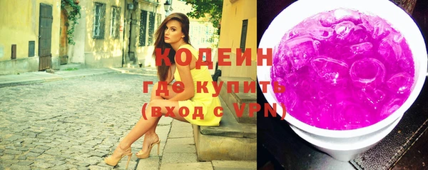 индика Горнозаводск