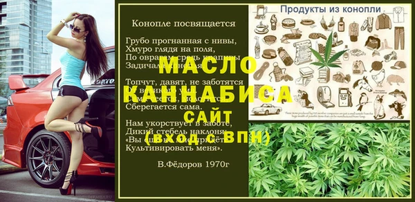 индика Горнозаводск
